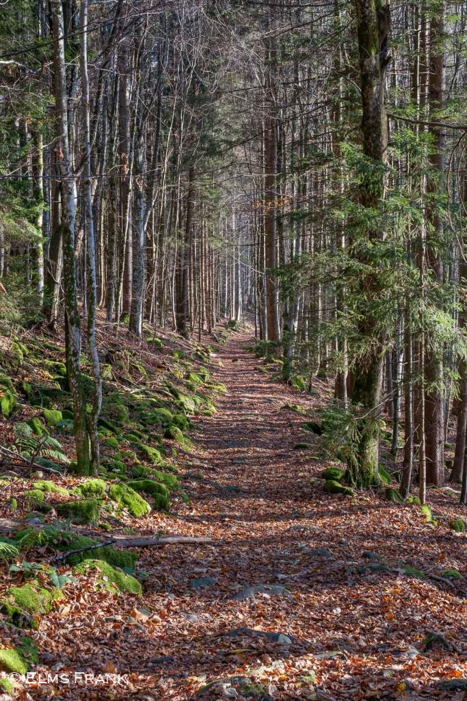 Herbstweg im Bayerischen Wald