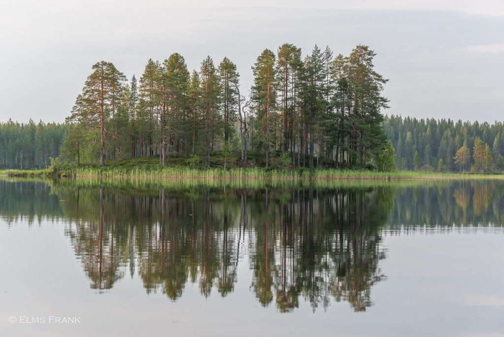 Spiegelungen