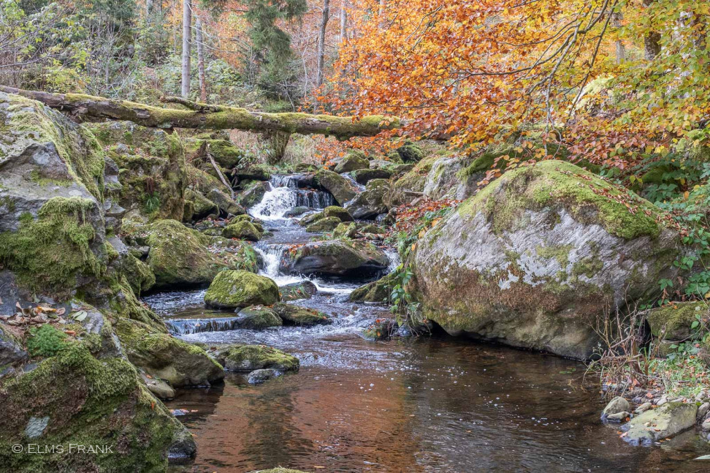 Steinklamm bei Spiegelau