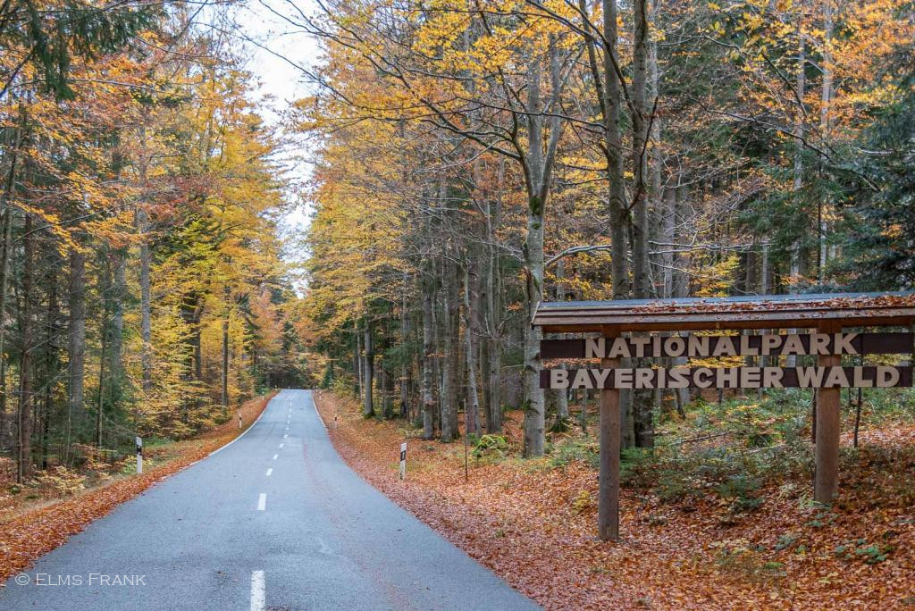Nationalpark Bayerischer Wald im Herbst